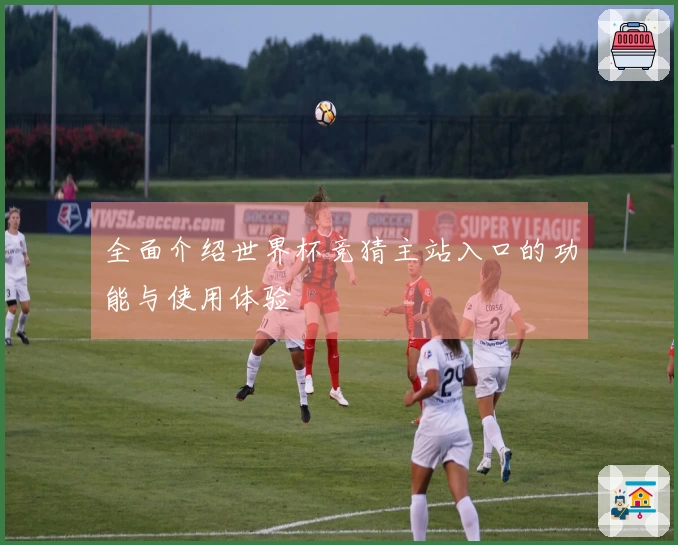 全面介绍世界杯竞猜主站入口的功能与使用体验