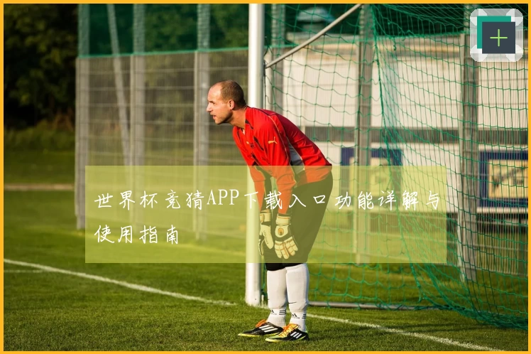 世界杯竞猜APP下载入口功能详解与使用指南