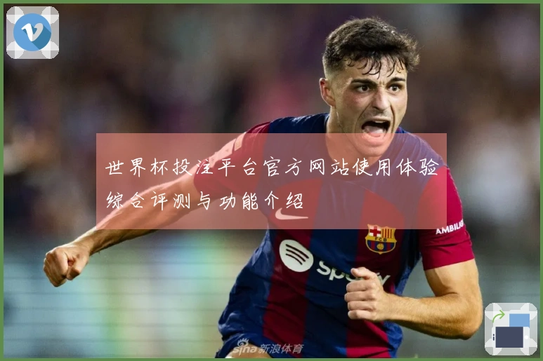 世界杯投注平台官方网站使用体验综合评测与功能介绍