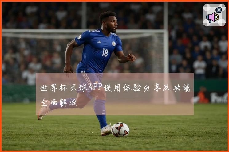 世界杯买球APP使用体验分享及功能全面解读