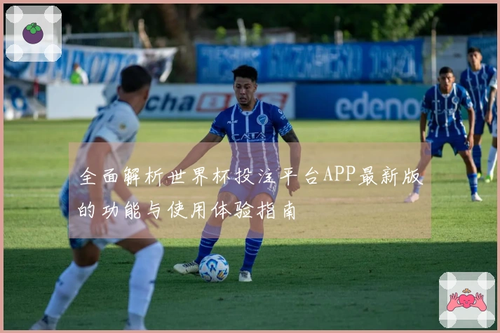 全面解析世界杯投注平台APP最新版的功能与使用体验指南