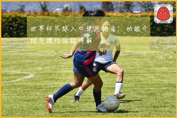 世界杯买球入口使用指南：功能介绍与操作体验详解