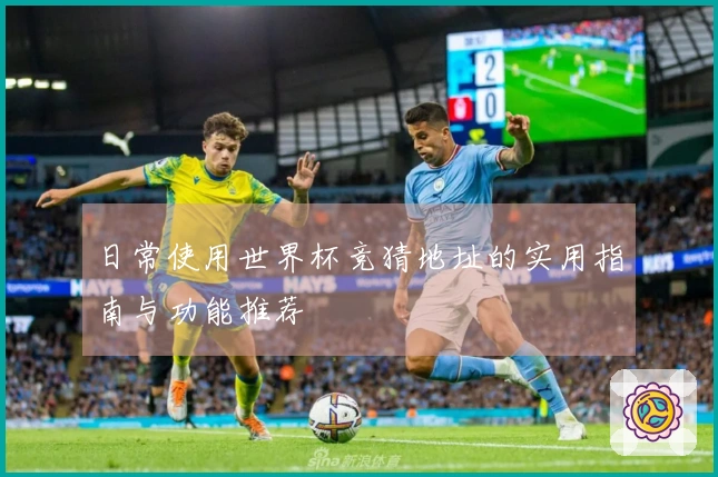日常使用世界杯竞猜地址的实用指南与功能推荐