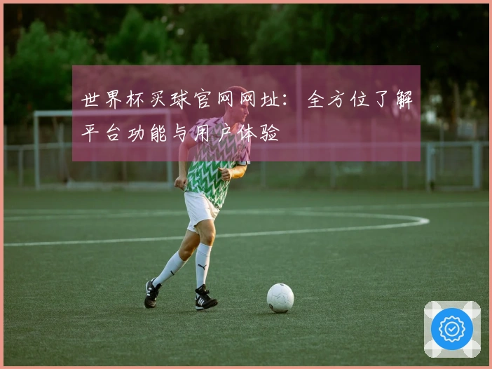 世界杯买球官网网址：全方位了解平台功能与用户体验