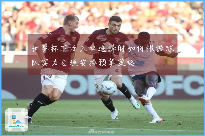 世界杯下注入口选择时如何根据球队实力合理安排预算策略