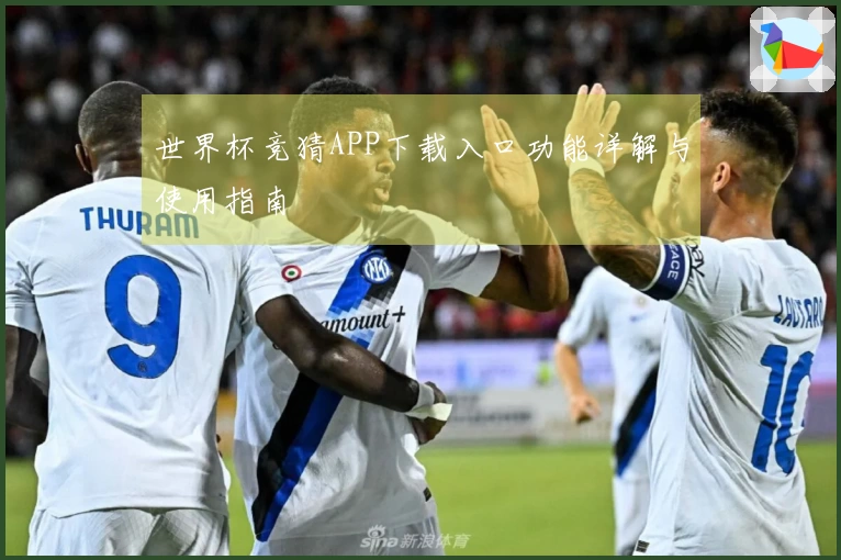 世界杯竞猜APP下载入口功能详解与使用指南