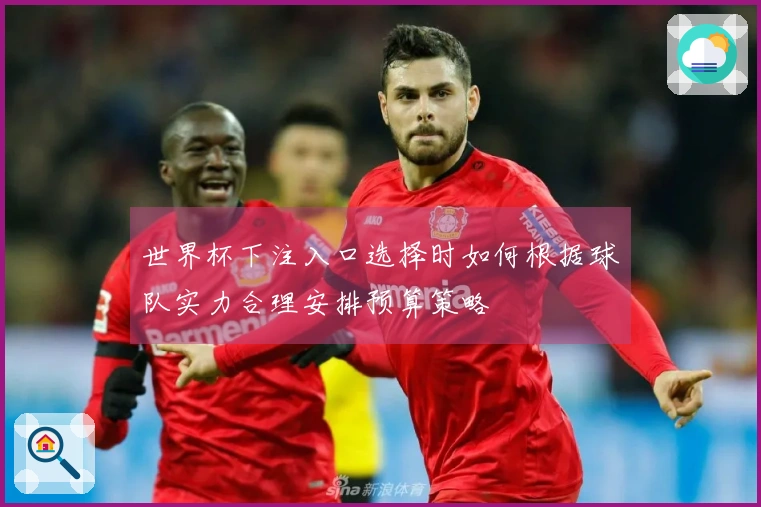 世界杯下注入口选择时如何根据球队实力合理安排预算策略