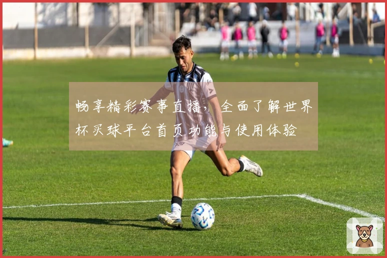 畅享精彩赛事直播，全面了解世界杯买球平台首页功能与使用体验