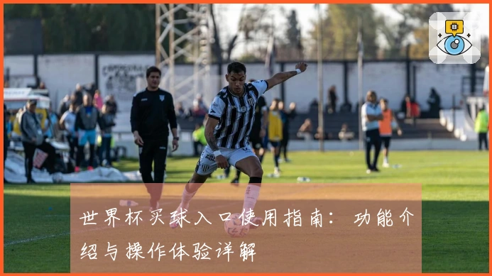 世界杯买球入口使用指南：功能介绍与操作体验详解