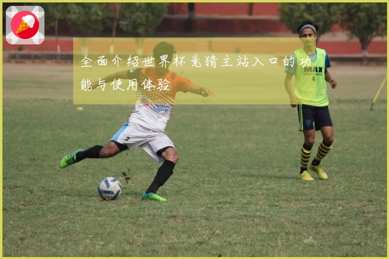 全面介绍世界杯竞猜主站入口的功能与使用体验
